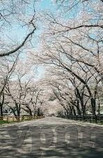日本vps毛一区二区-探索日本VPS服务，一区二区的深度体验与优势分析