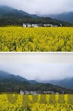 亚洲国产精品国自产拍av麻豆-以文化多样为背景，科目远见的希望，国产精品国自产拍中的视觉艺术表达